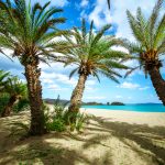 Der Palmenstrand von Vai