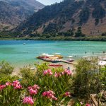 Schildkröten, Libellen und glasklares Wasser – Leben im Einklang mit der Natur